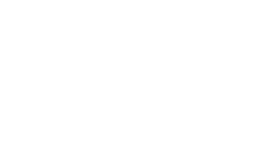 Robi PT